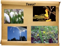 Презентация Прием цветописи в романе М.А.Булгакова Мастер и Маргарита