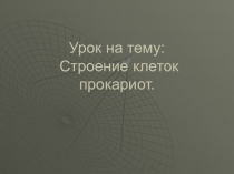 Презентация по биологии 10 класс Клетки прокариот