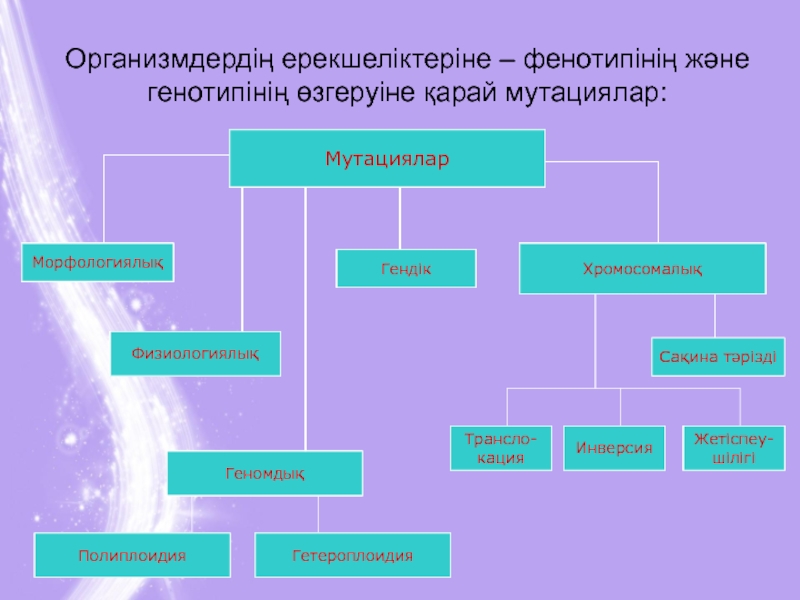 Тұқым қуалайтын өзгергіштік презентация