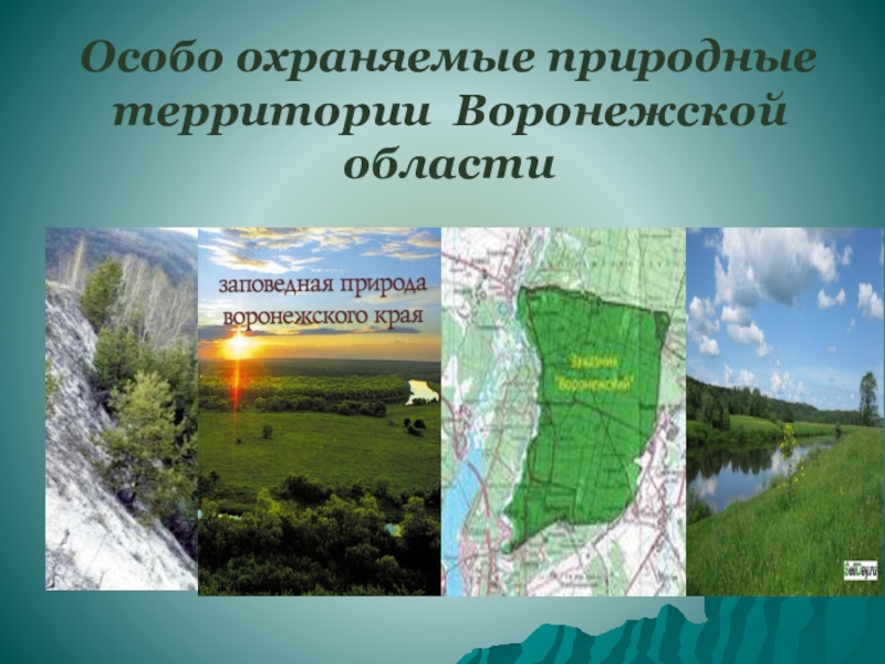 Охраняемые территории воронежской области. Природные территории Воронежской области. Особо охраняесые природные территории вороннжской област. ООПТ Воронежской области. Охраняемые природные территории Воронежской области.