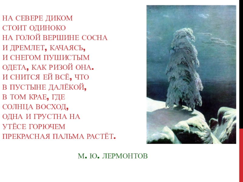 Стихотворение на севере диком стоит одиноко. На голой вершине стоит одиноко сосна. Стихотворение на севере диком. На севере диком текст. На севере диком стоит одиноко на голой вершине сосна.