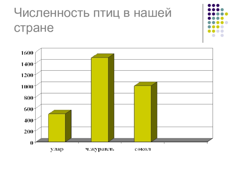 Количество птиц. Численность птиц. Численность птиц на земле. Суммарная численность птиц. Относительная численность птиц.