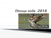 Презентация к уроку окружающий мир .Тема Птицы .Птица года-2018