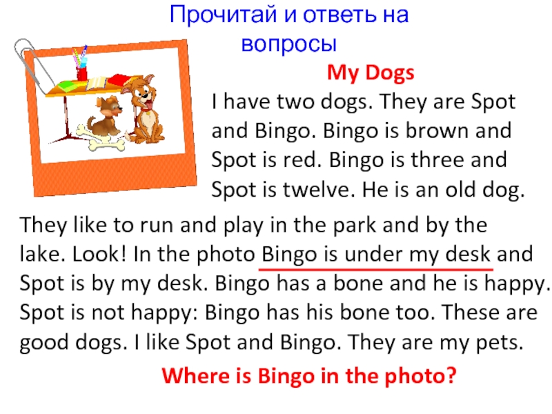 Прочитай и ответь на вопросыMy DogsI have two dogs. They are Spotand Bingo. Bingo is brown andSpot