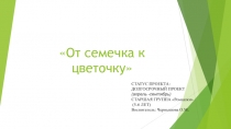 Проект в старшей группе От семечка к цветочку