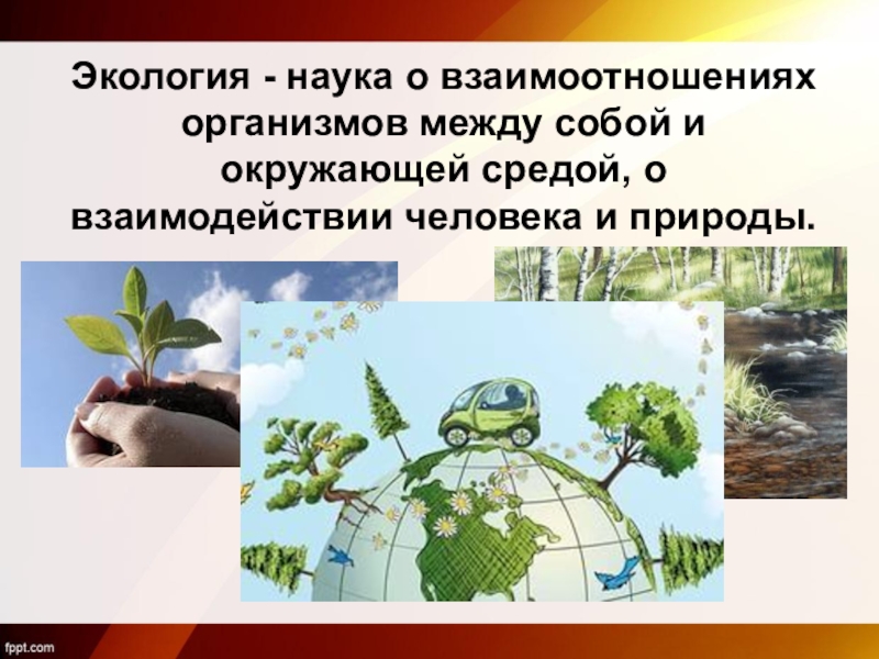 Экология это егэ русский