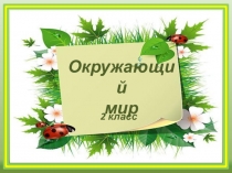 Презентация по окружающему миру на тему Окружающий нас мир (ОС Начальная школа XXI века, 2 класс)