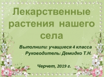 Презентация по окружающему миру Лекарственные растения нашего села