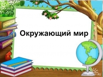 Презентация по окружающему миру