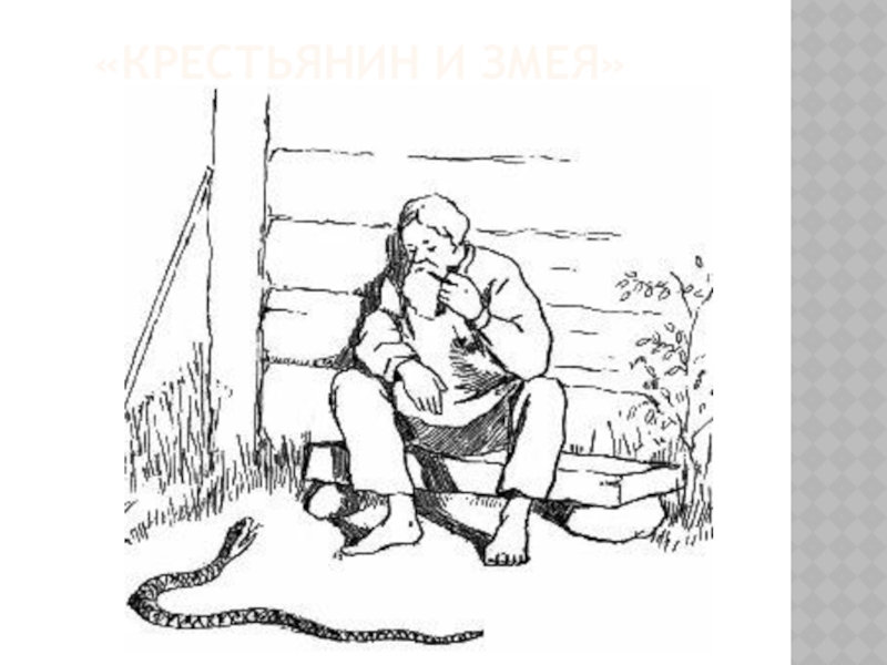 Крестьянин и крестьянин рисунок