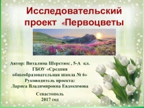 Презентация Первоцветы Севастополя. Природоведение, 5 класс