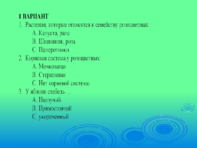 Презентация розоцветные 6 класс