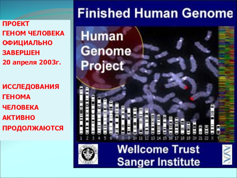 Итоги проекта геном человека