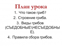Презентация по окружающему миру на тему: Грибы (1 класс)