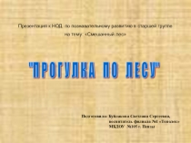 Презентация к НОД по познавательному развитию в старшей группе на тему: Смешанный лес