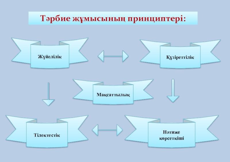 Тәрбиенің принциптері презентация