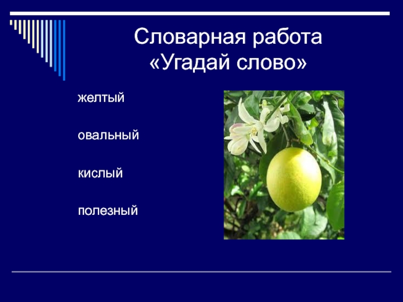 Слово желтый. Предложение со словом желтый. Словарная работа жёлтый. Работа со словарным словом жёлтый. Предложение со словом желтизна.