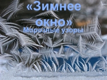 Презентация к уроку по ИЗО на тему: Зимнее окно (2 класс)