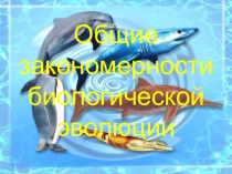 Презентация по биологии на тему Общие закономерности биологической эволюции