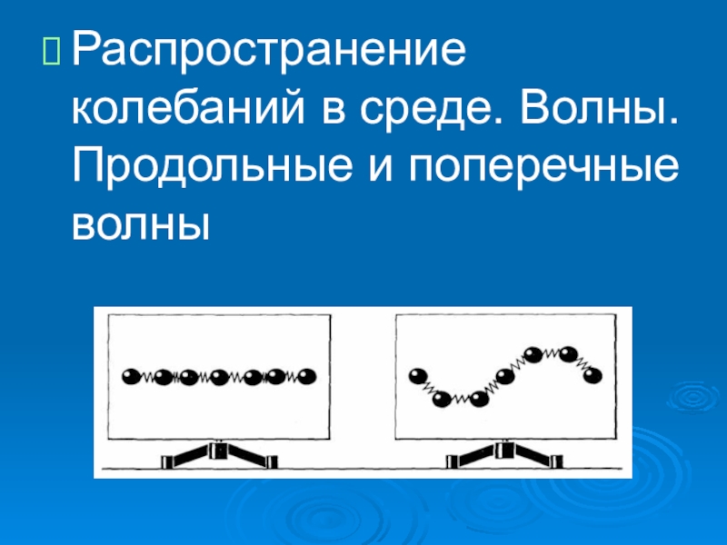 Распространение колебаний в среде волны. Продольные и поперечные волны. Распространение колебаний в среде. Распространение продольных волн. Распространение поперечных волн.