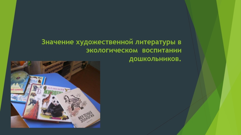 Значение художественной литературы. Художественное значение художественной литературы. Экологическое воспитание дошкольников литература. Значение худ литературы.