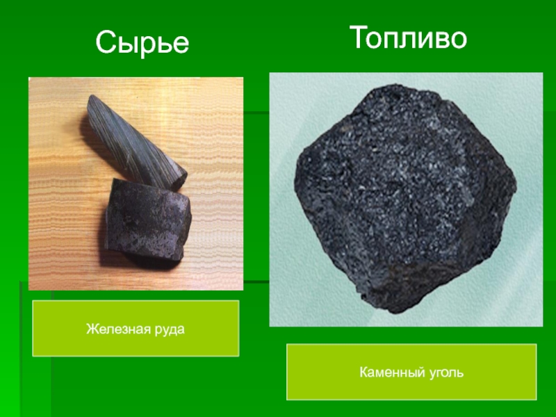 Рыбные ресурсы каменный уголь