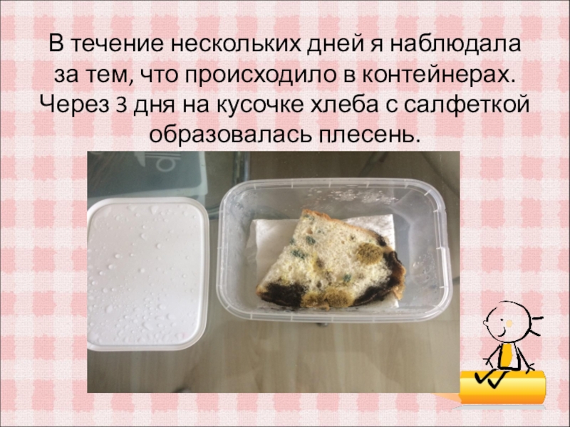 В течение 4 5 дней. Плесень на влажном хлебе. Исследовательская работа плесень на хлебе. Плесень друг или враг исследовательская работа. Положи в банку с влажной бумагой кусочек хлеба.