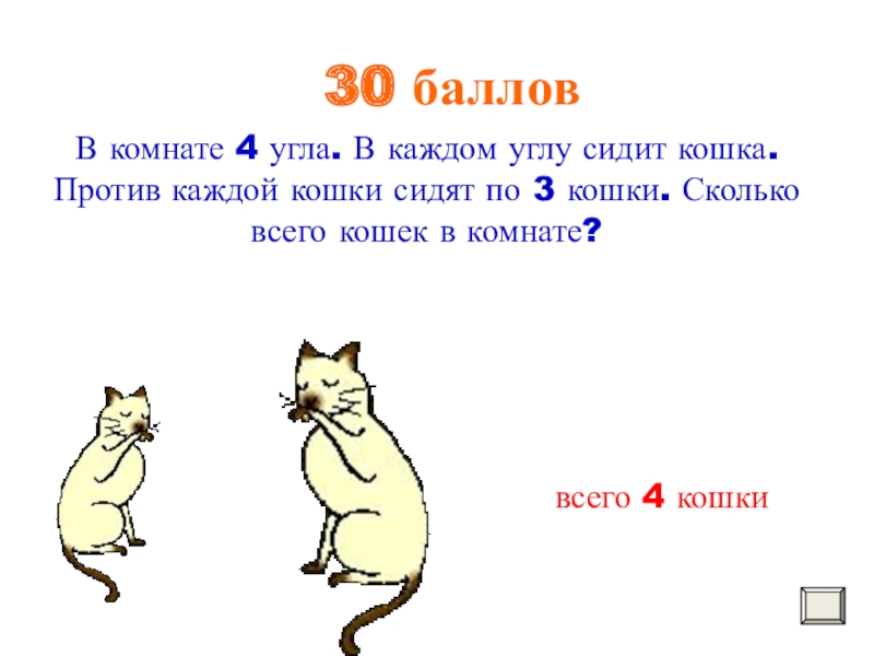 Загадка про кота для 1 класса. Задачки про кошек. Загадки на логику с кошкой. Загадка про кошку. Логические задачи с кошками.