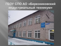 Презентация Дед Мороз едет в гости