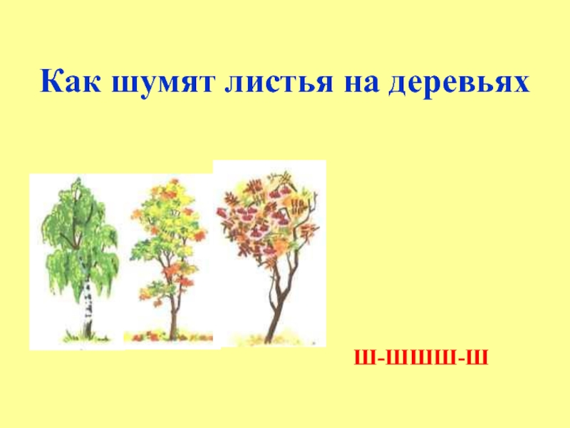 Деревья шумят. Шум листвы деревьев. Шумели листья на дереве. Как шумят листья на деревьях. Как шумят деревья.