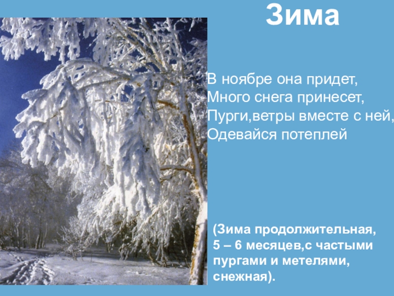 Где продолжительная зима с устойчивым снежным покровом. Зима пришла много снега принесла. Зимушка зима пришла много снега принесла стих. В гости к нам пришла зима много снега принесла. Устойчивый снежный Покров, холодные Продолжительные зимы.