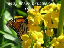 Презентация к уроку ИЗО Мир полон украшений