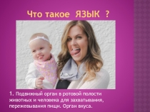 Урок русского языка по теме Язык и человек (5 класс)