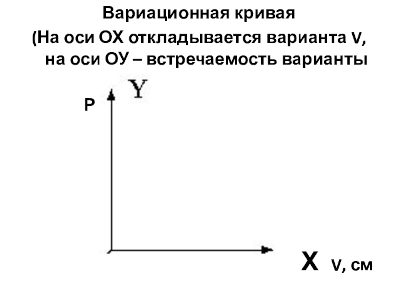 Ось ox. Оператор проектирования на ось Ox. Движение против оси Ox. Правильная область в направлении оси Ox.