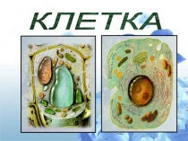 Презентация по биология клетка 9-10 класс
