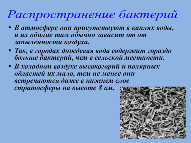 Где встречаются бактерии. Распространение бактерий. Распространение бактерий в воде. Распространение бактерий в воздухе. Распространение бактерий в природе.
