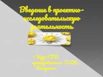 Введение в проектно-исследовательскую деятельность