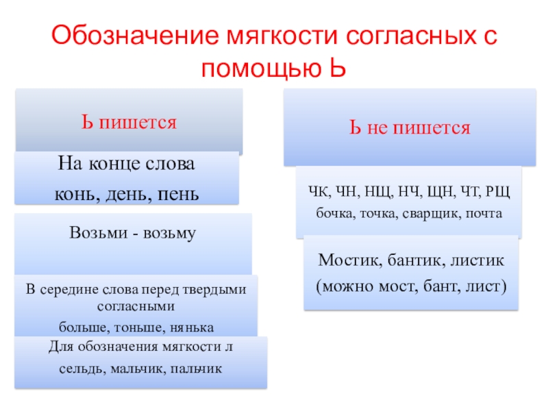 Слова ь обозначает мягкость согласного