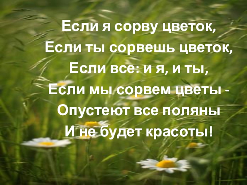 Презентация жизнь луга. Жизнь Луга 4 класс окружающий мир. Проект на тему жизнь Луга. Жизнь Луга 4 класс Плешаков школа России. Жизнь Луга 4 класс презентация школа России.