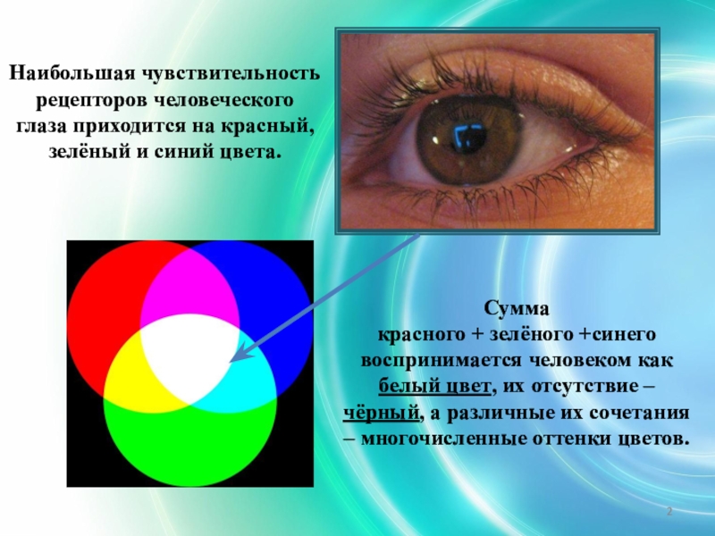 Способен различать цвета. Цвета которые не воспринимает человеческий глаз. Какие основные цвета различает человеческий глаз. Основные цвета воспринимаемые глазом человека. Наибольшая чувствительность глаза.