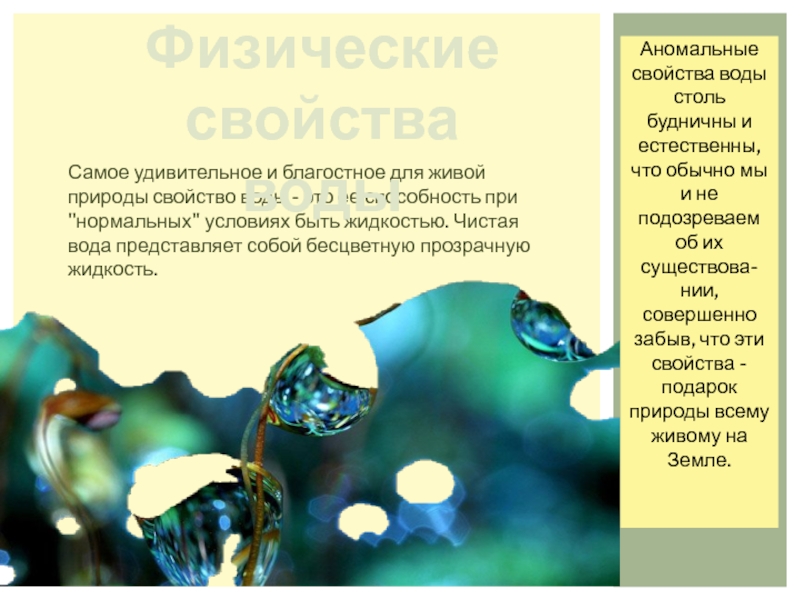 Природные свойства человека. Аномальные физические свойства воды. Свойства природы. Аномалии физических свойств воды. Вода представляет собой бесцветную жидкость.