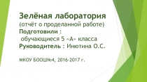 Презентация отчет о проделанной работе  ( в рамках учебного курса Зелёная лаборатория