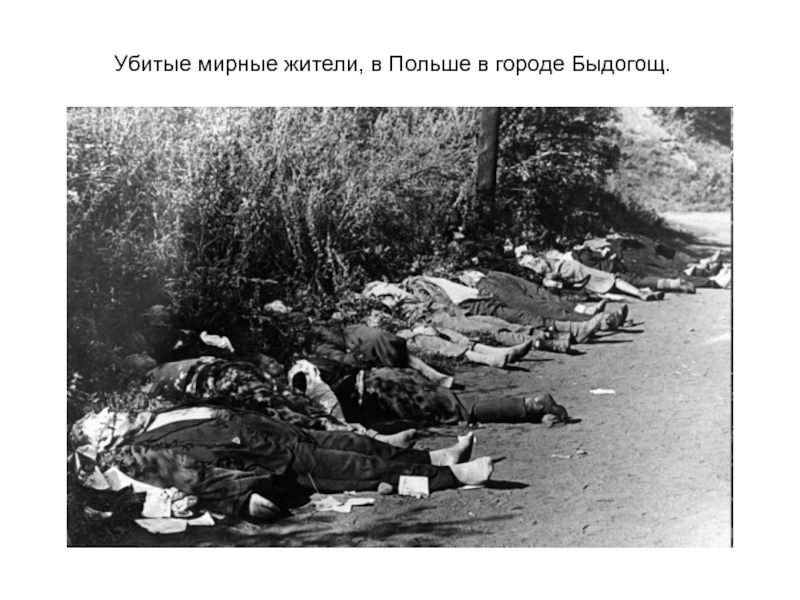 Убитые мирные жители, в Польше в городе Быдогощ.