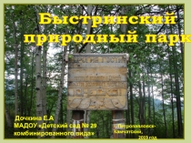 Презентация Виртуальная экскурсия в Быстринский природный парк