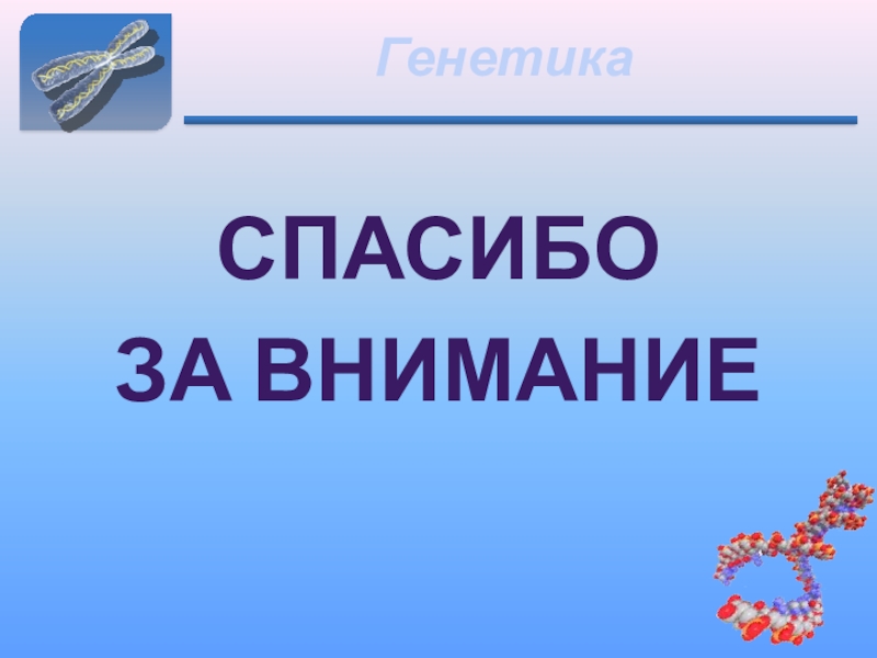 Картинка спасибо за внимание биология