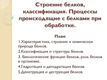 Презентация МДК 07.01 Белки