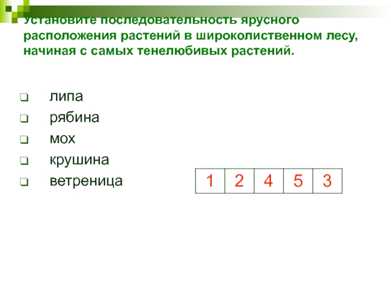 Установите последовательность ярусного расположения растений в широколиственном лесу, начиная с самых тенелюбивых растений. липарябинамохкрушинаветреница