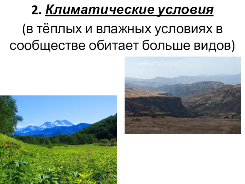 Презентация 9 класс состав и структура сообщества 9 класс