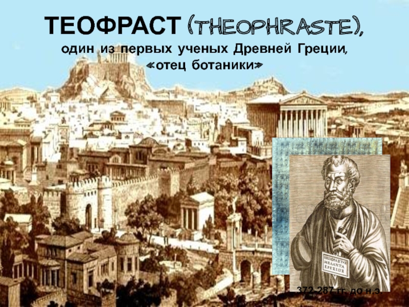 ТЕОФРАСТ (THEOPHRASTE), один из первых ученых Древней Греции, «отец ботаники»372-287 гг. до н.э.
