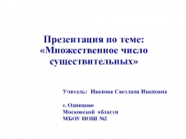 Презентация Множественное число существительных